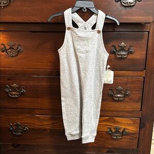 Boys Gray  One Piece pants